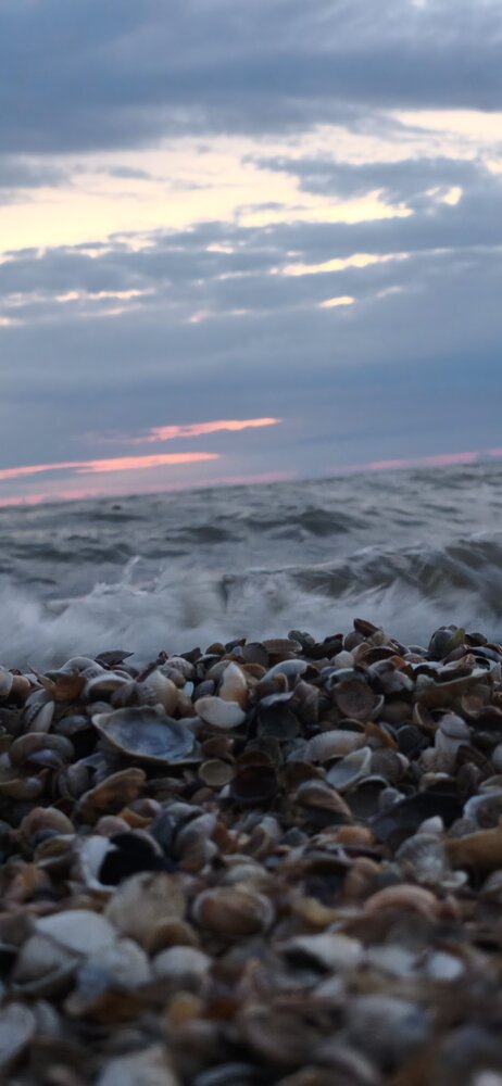 Photograph by Маргарита