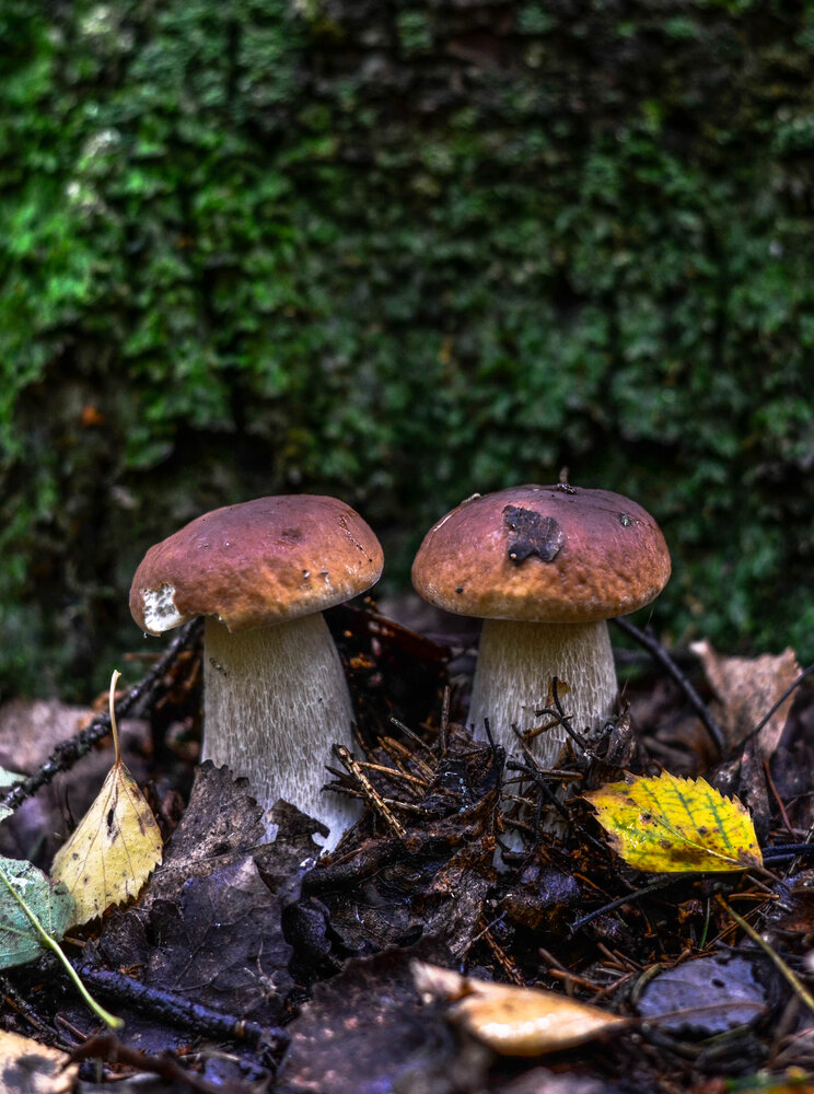 Photograph by игорь герасимовский