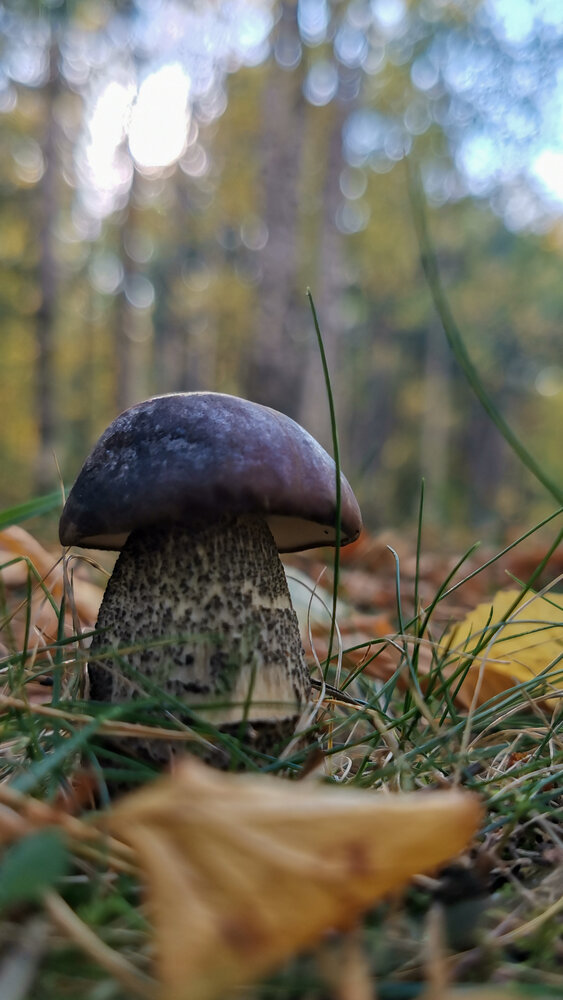 Photograph by Oxana Kostsova
