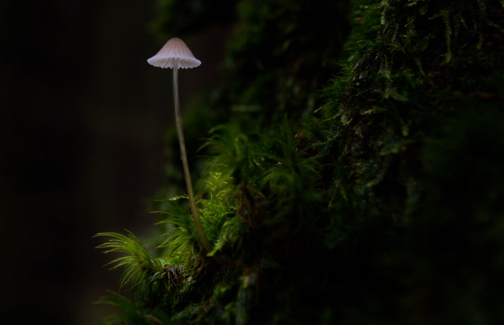 Photograph by Денис Золотарев