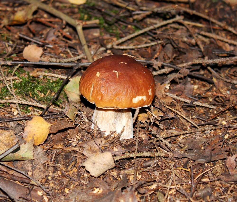 Photograph by Александр Бугаенко