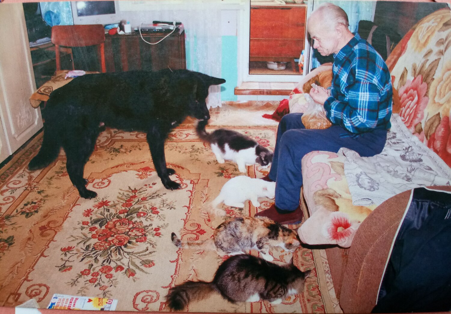 Photo #13954326