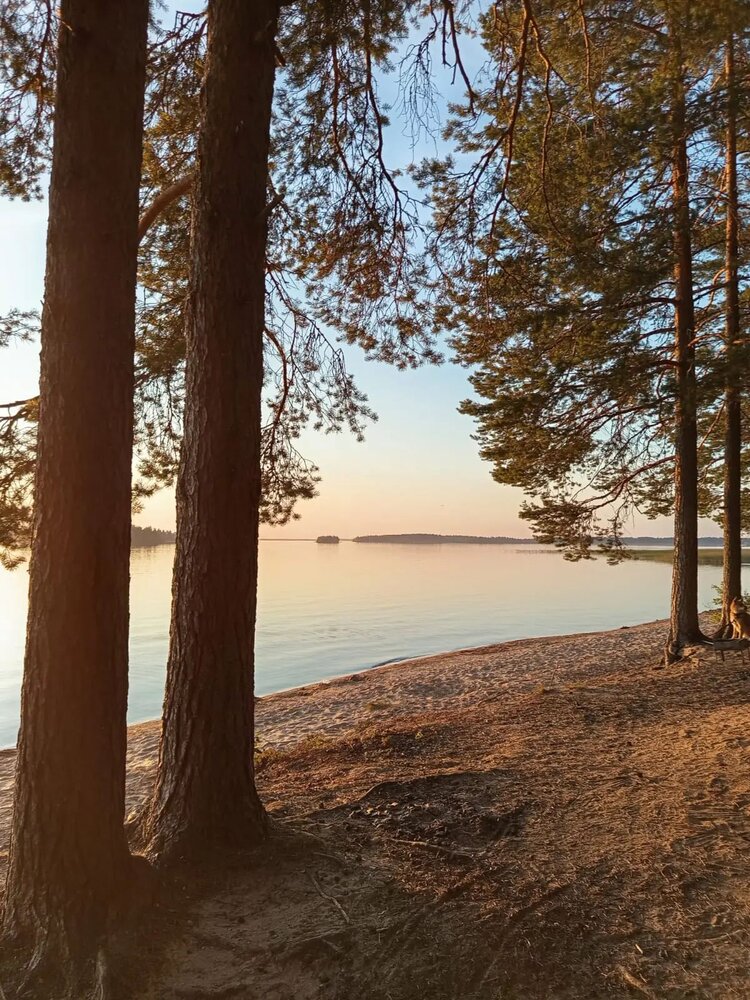 Photograph by Елизавета Ермолина