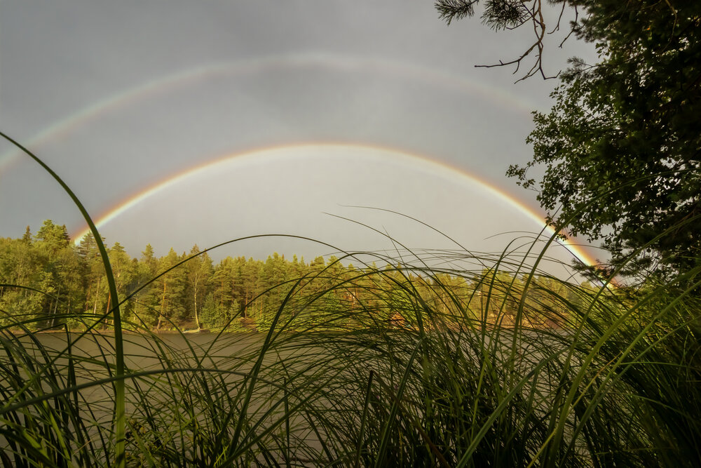 Photograph by Юлия Куликова
