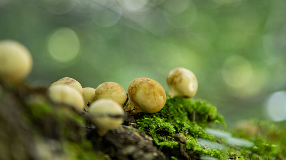 Photograph by Alena Poklonskaia
