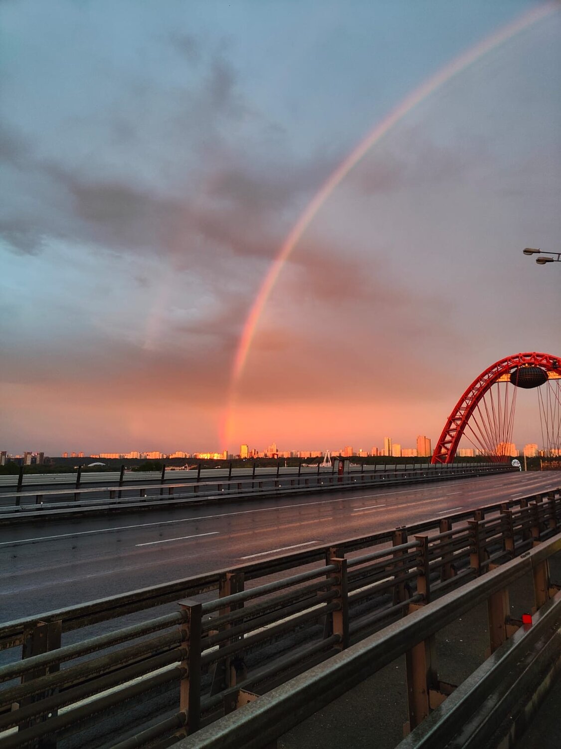 Photo #13954476