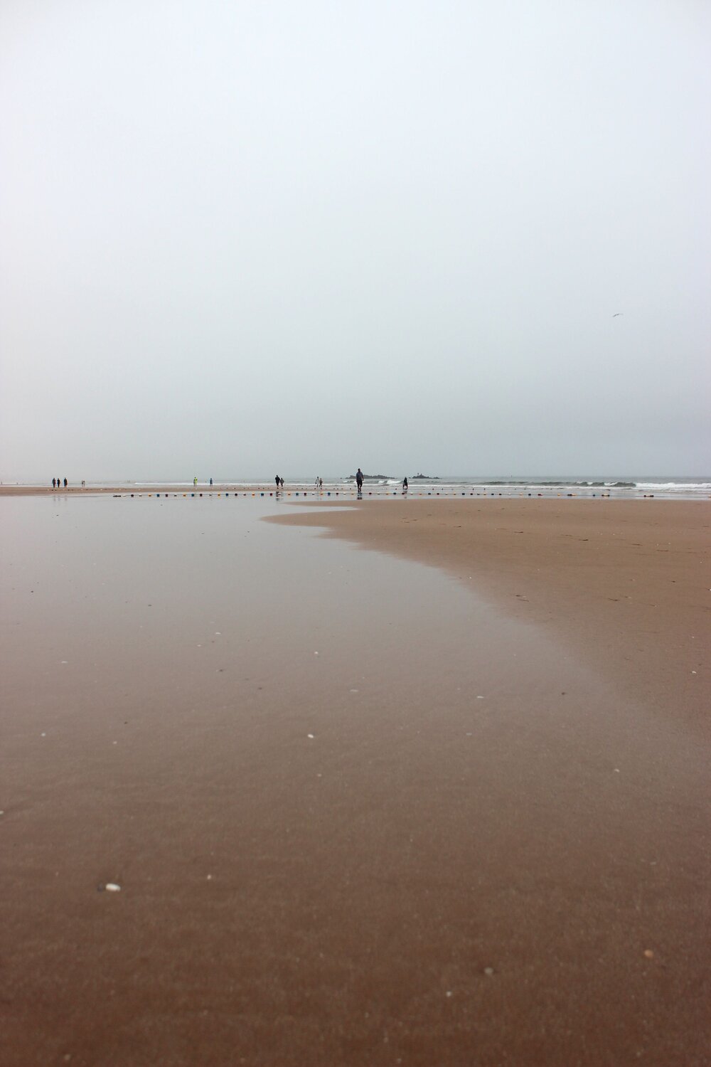 Photo #13954549