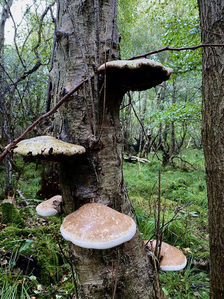 Photograph by Tanya Ward