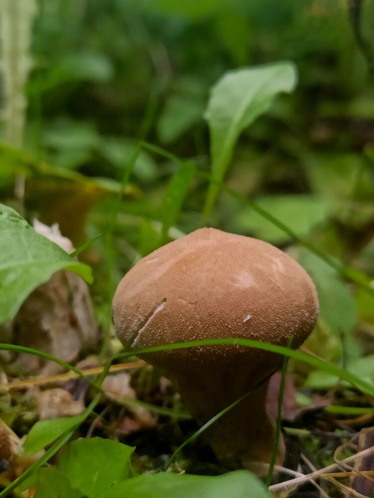 Photograph by Ольга Ситникова