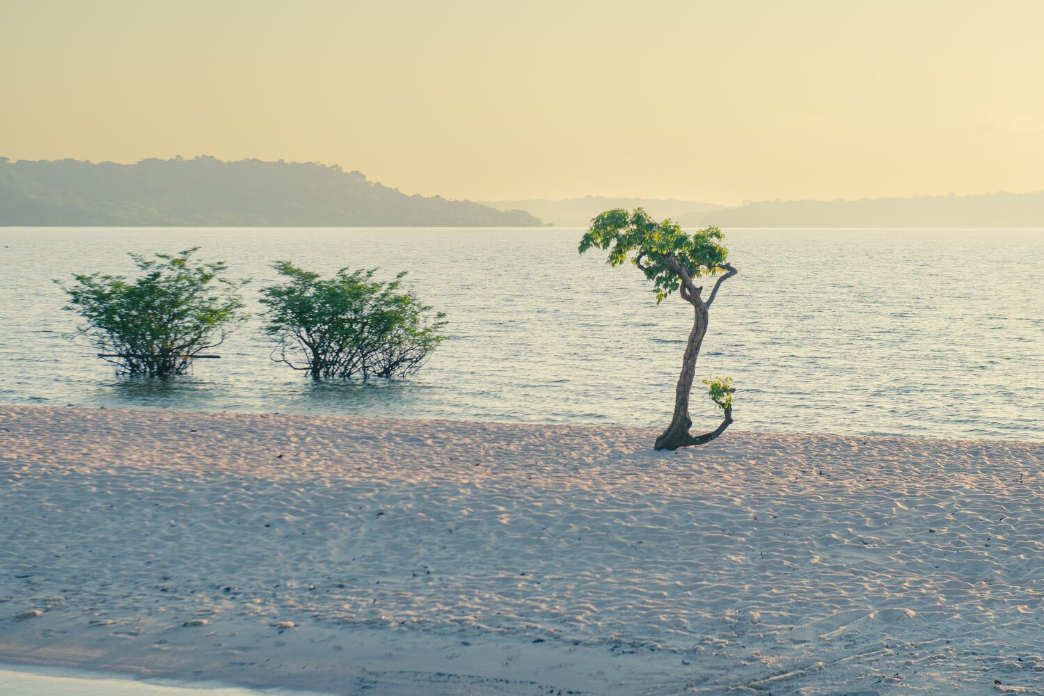 Solitude by the Alter do Chão, rio Tapajós