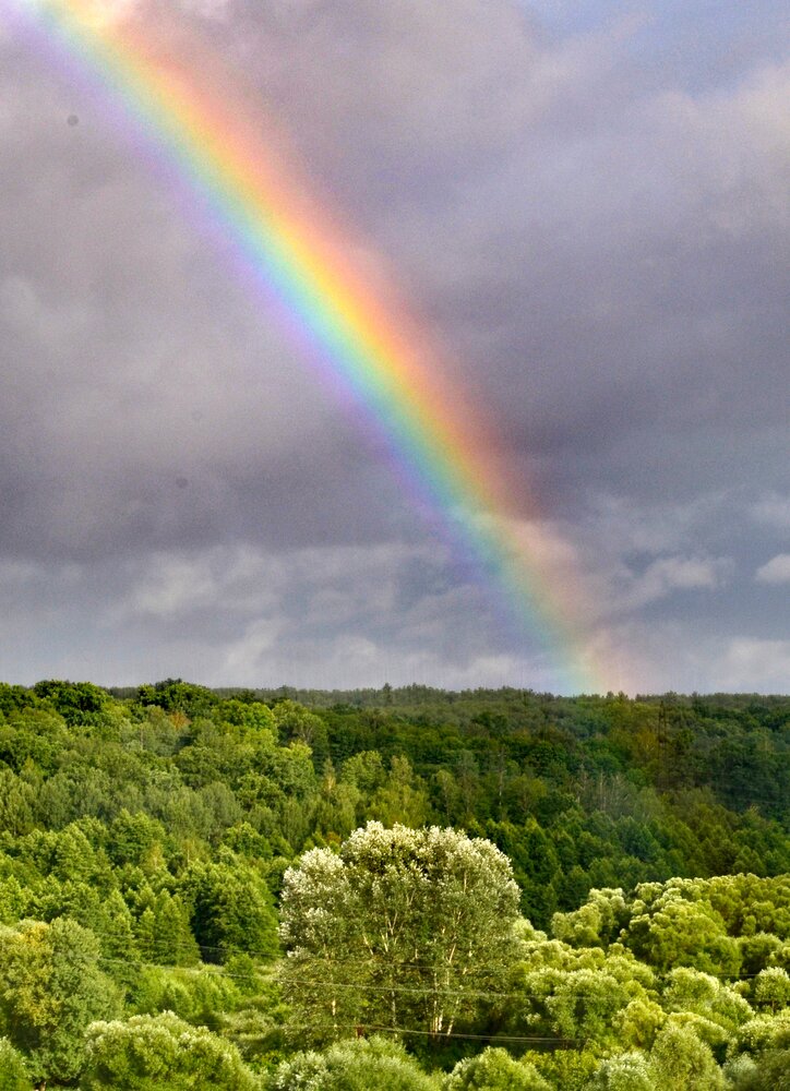 Photograph by Анатолий Борисенко