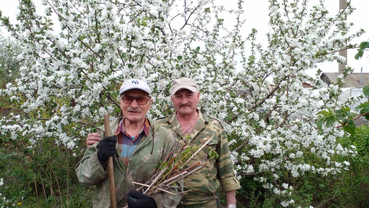 Photo #13954971