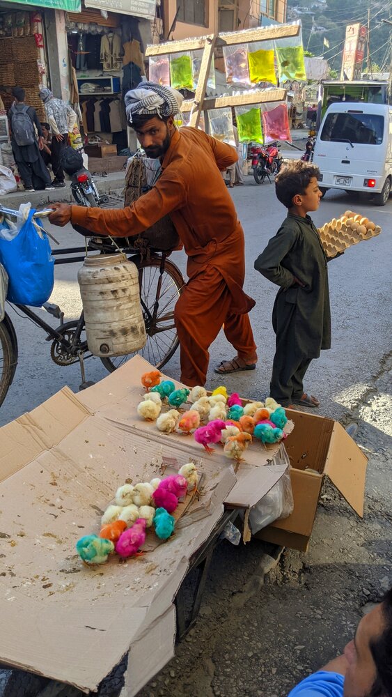 Hard Work Among the Hindukush