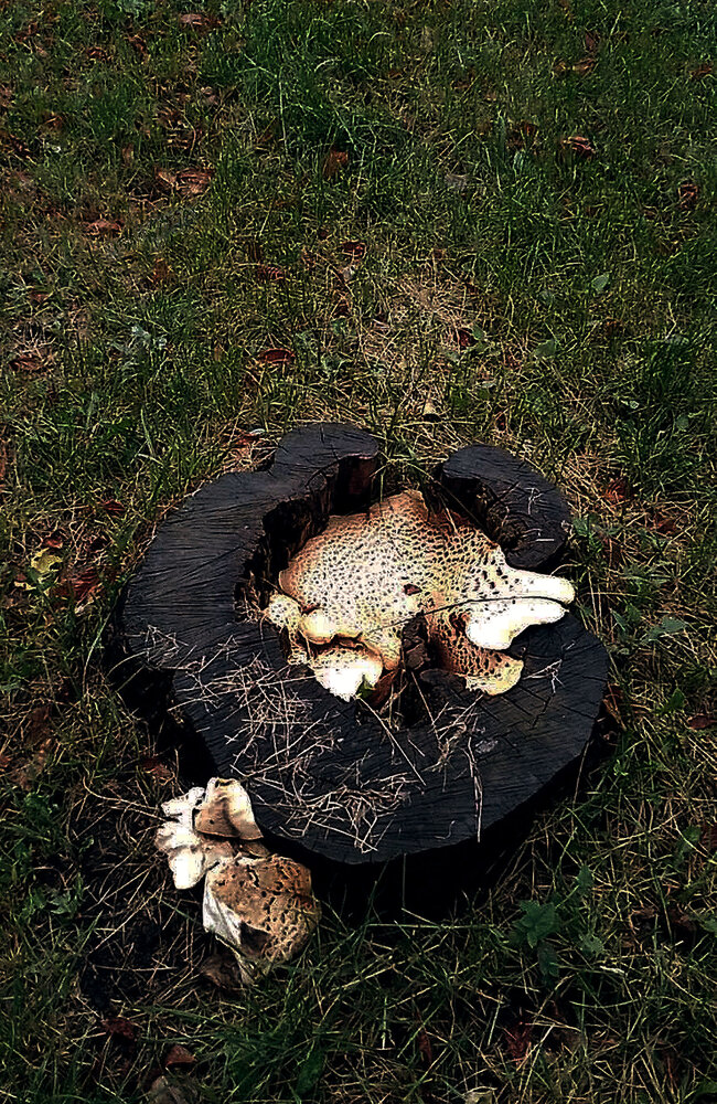 Photograph by Александр Зарх