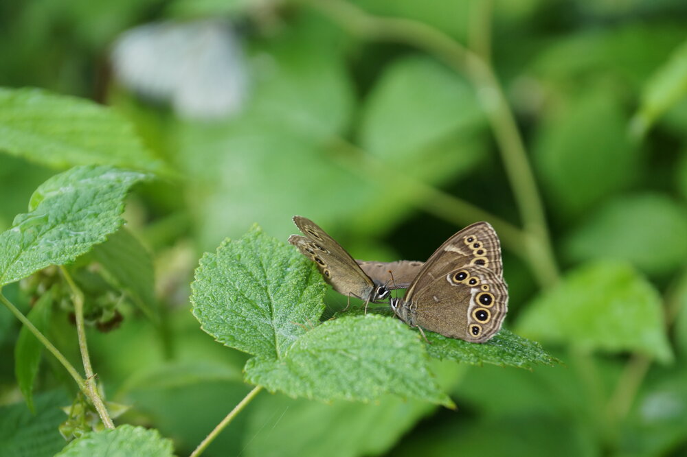 Photograph by Галина Кан