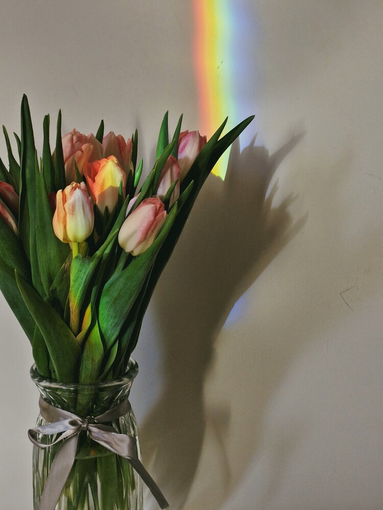 Photograph by Наталья Захарова