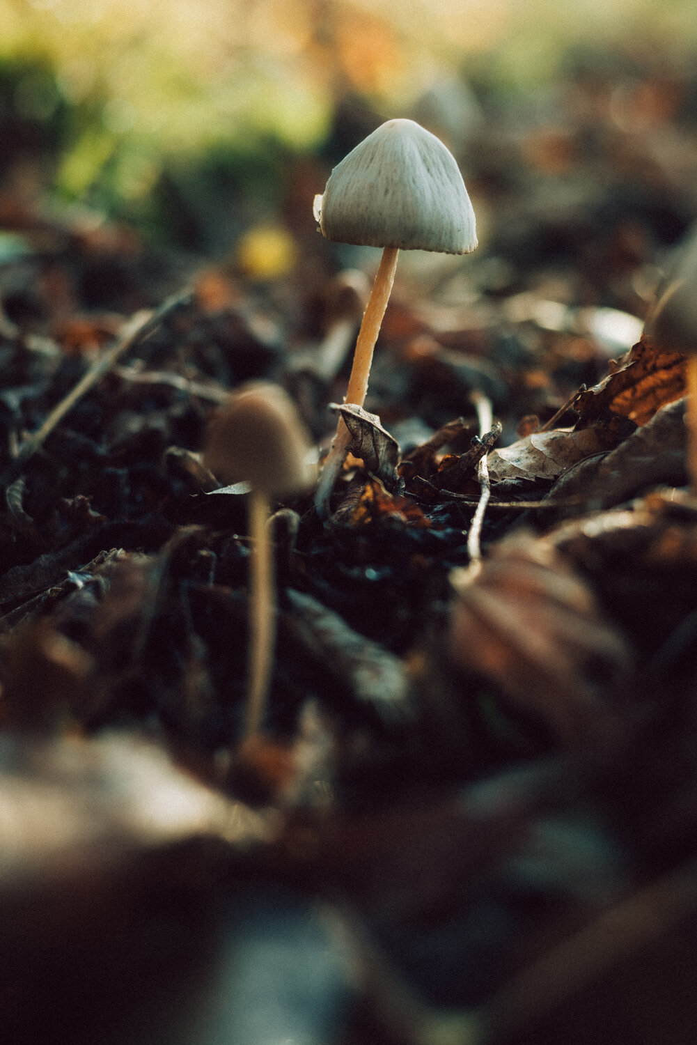 Photo #13955123