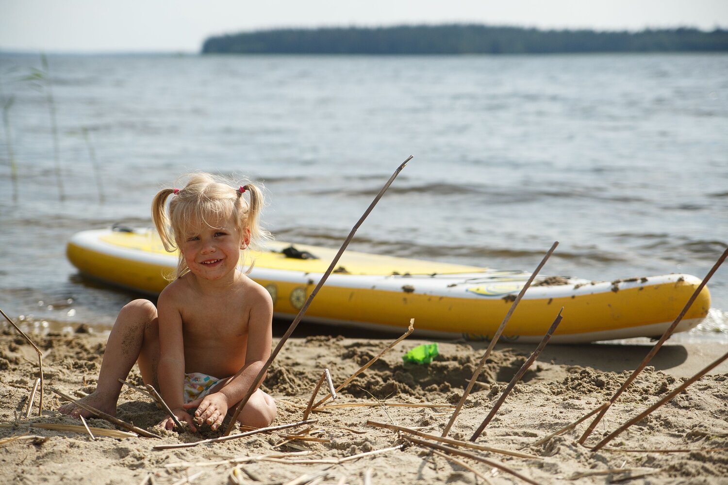 Photo #13955261
