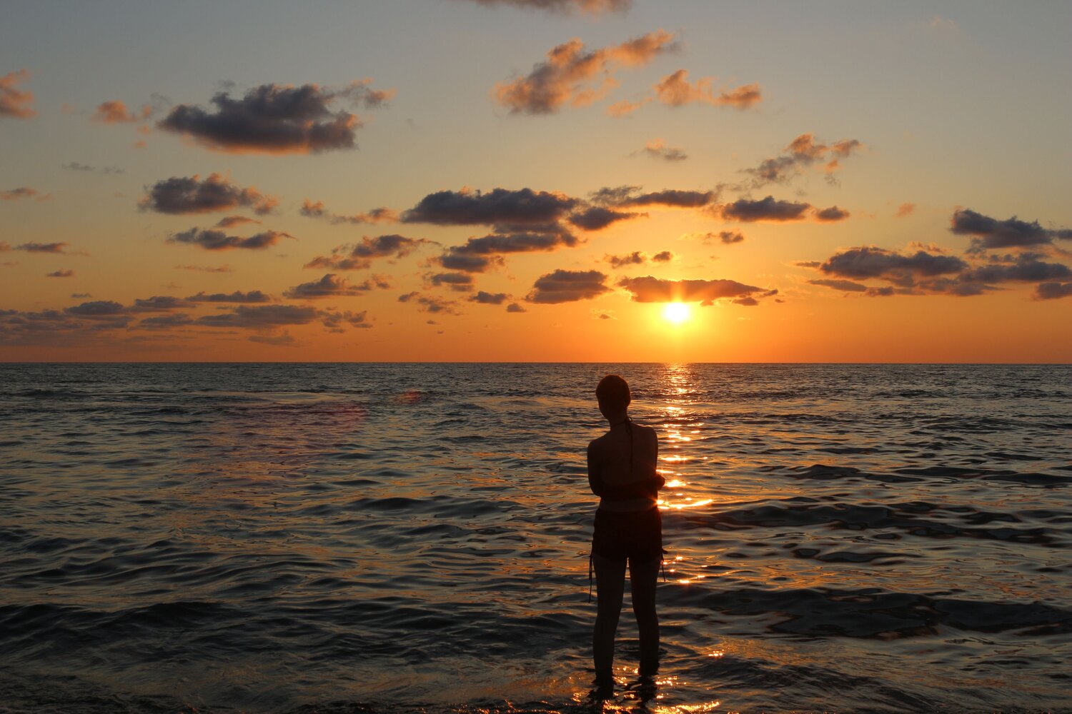 Photo #13955275