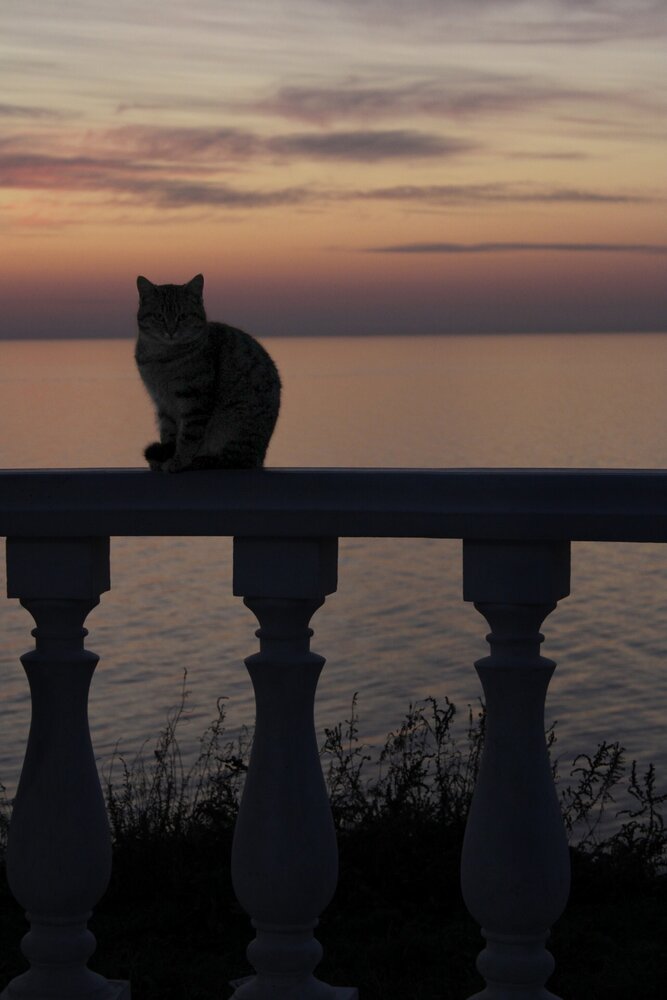 Photograph by Татьяна Смирнова