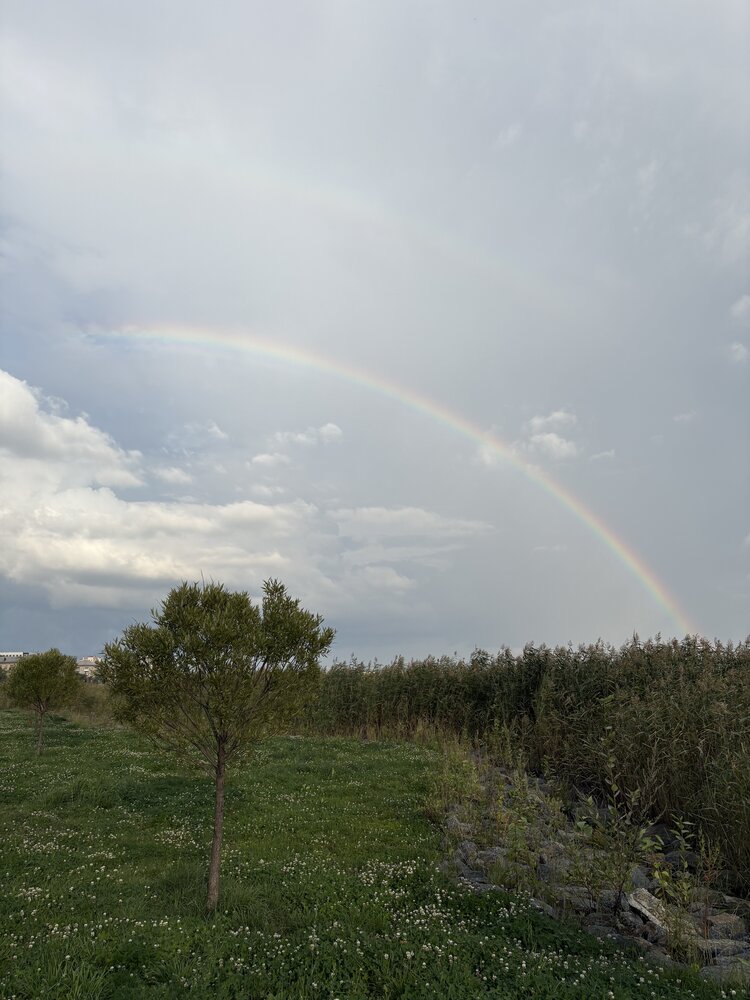 Photograph by Виктория Шабайкина