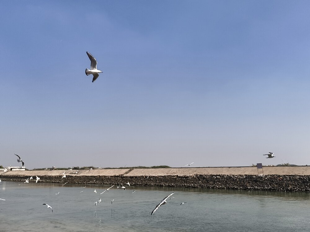 Photograph by VAIBHAV PAREKH
