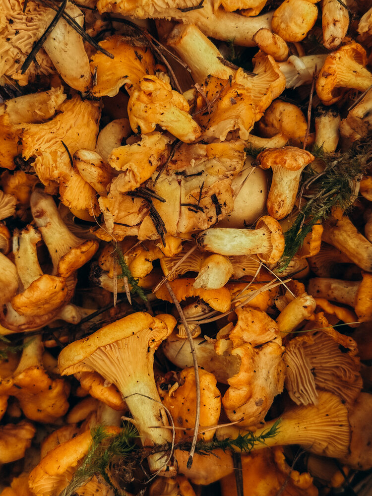 Photograph by Александра Кишикова
