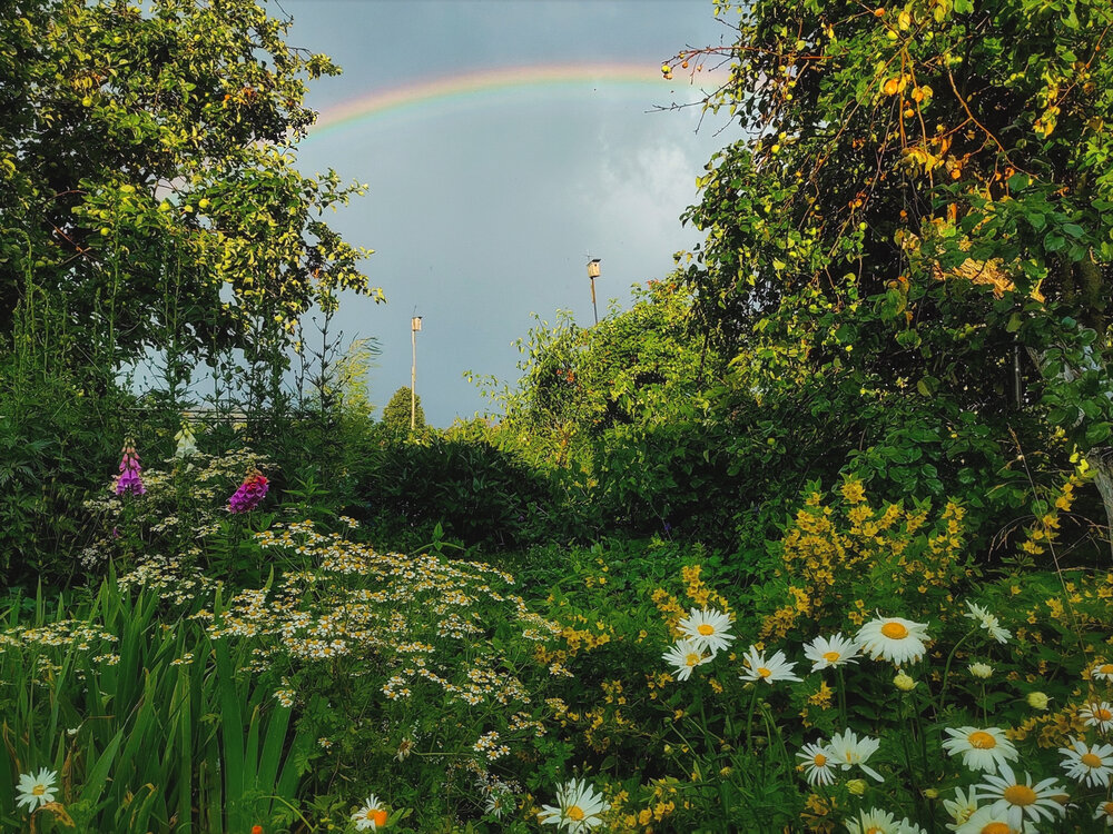Photograph by Мария Самохвалова