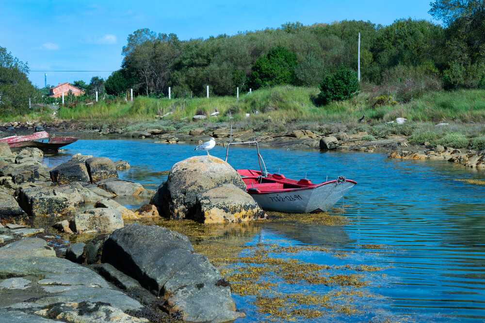 Photograph by JOSÉ MANUEL DELGADO BAUTE