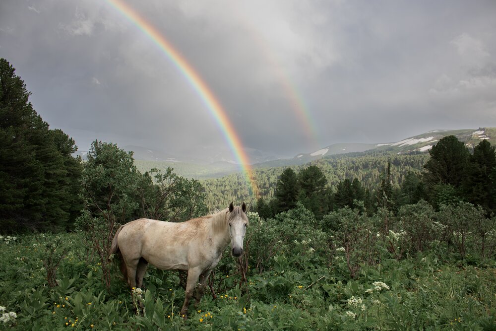 Photograph by Бурбона Сергей