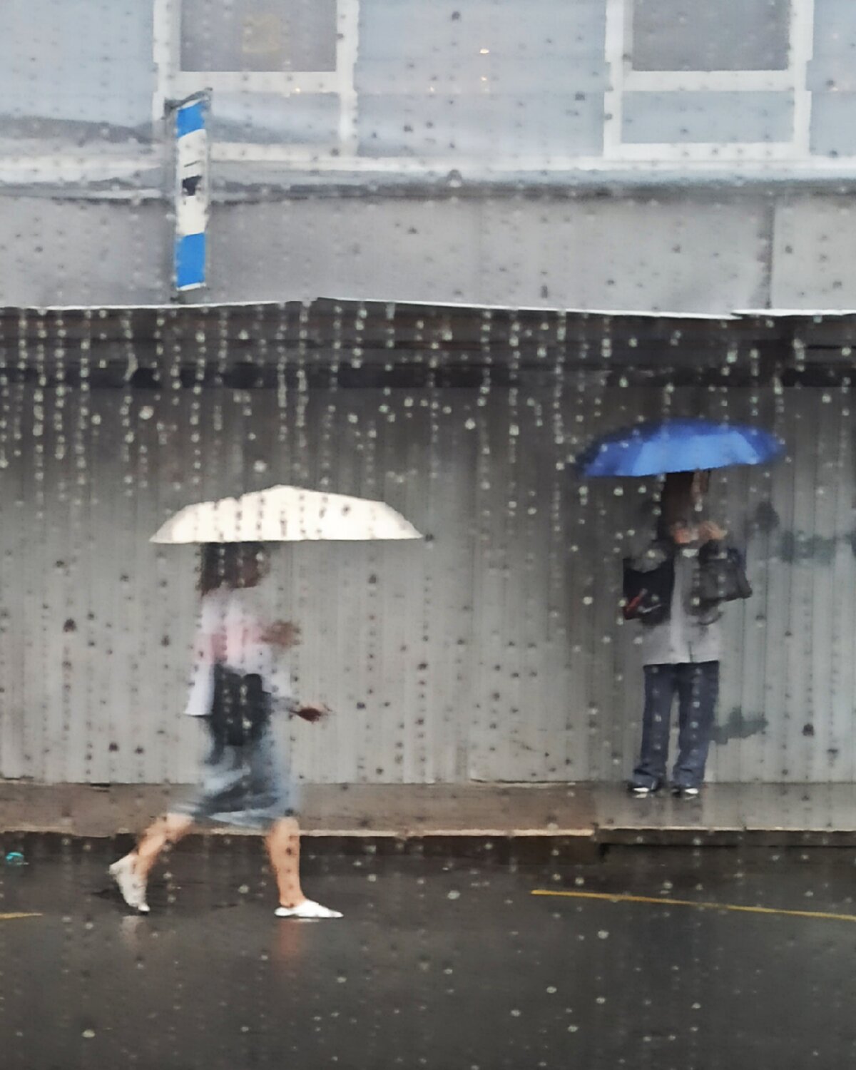 Photo #13955668