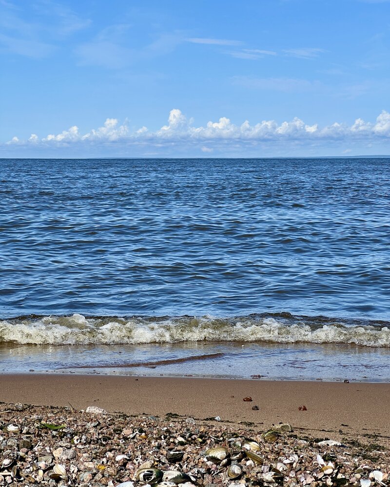 Photograph by Логинова Наталия