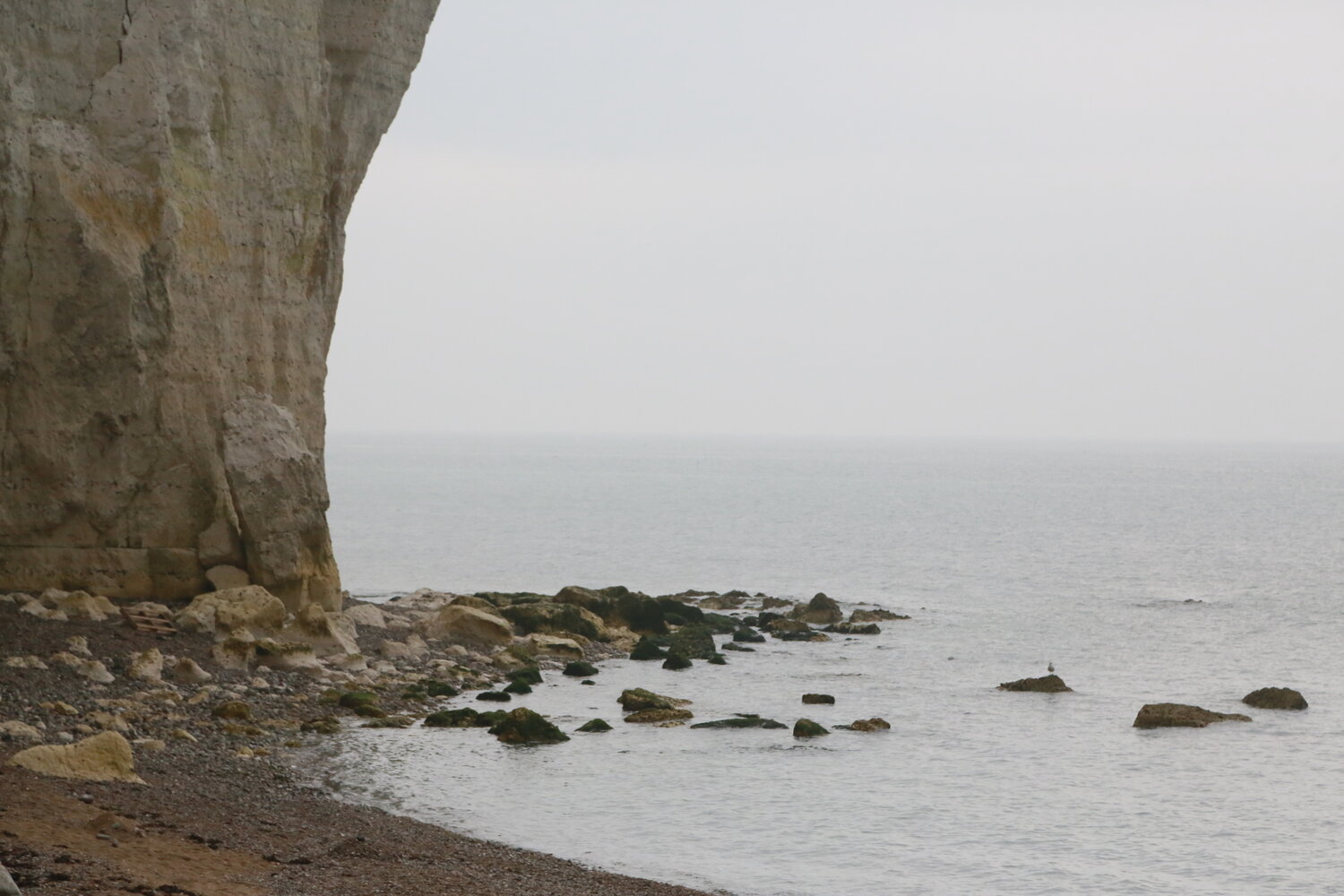 Photo #13955762