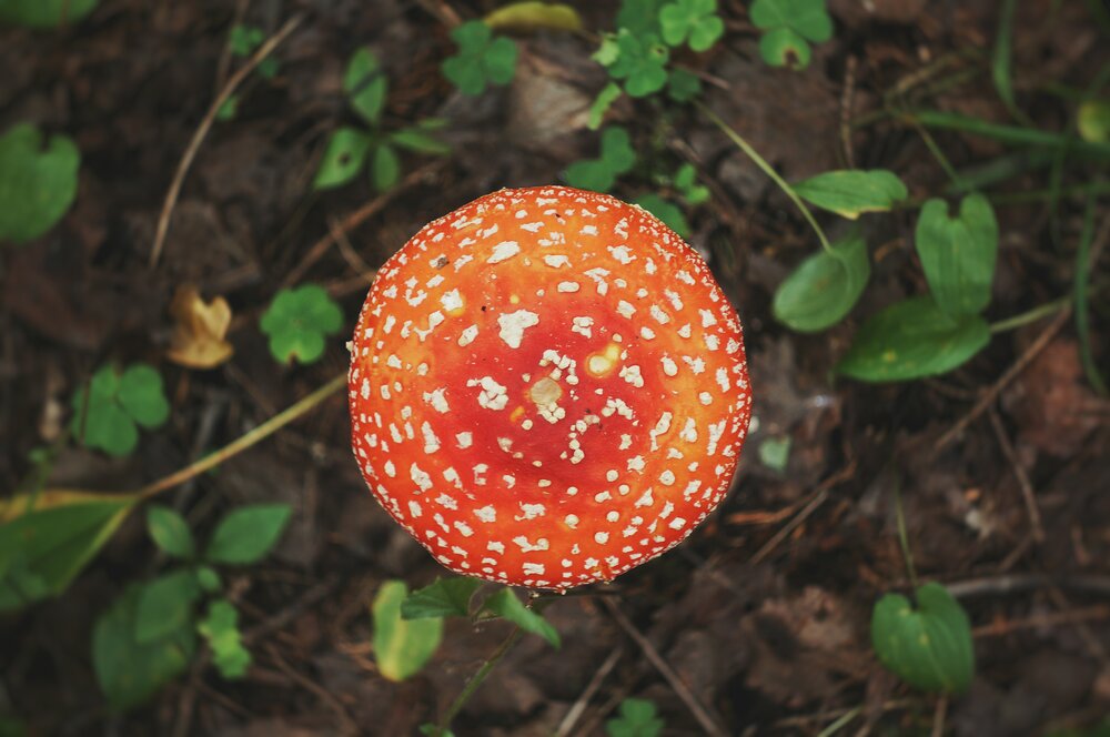 Photograph by Катюнцель
