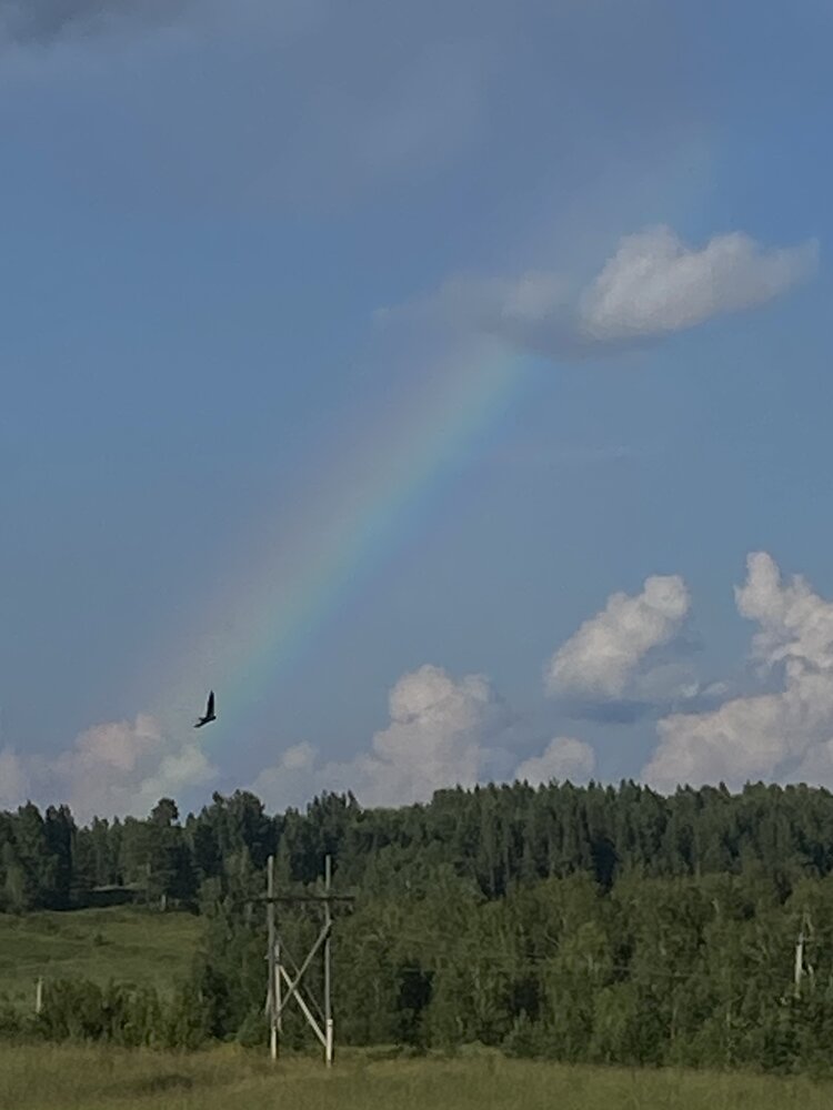 Photograph by Елена Федорова