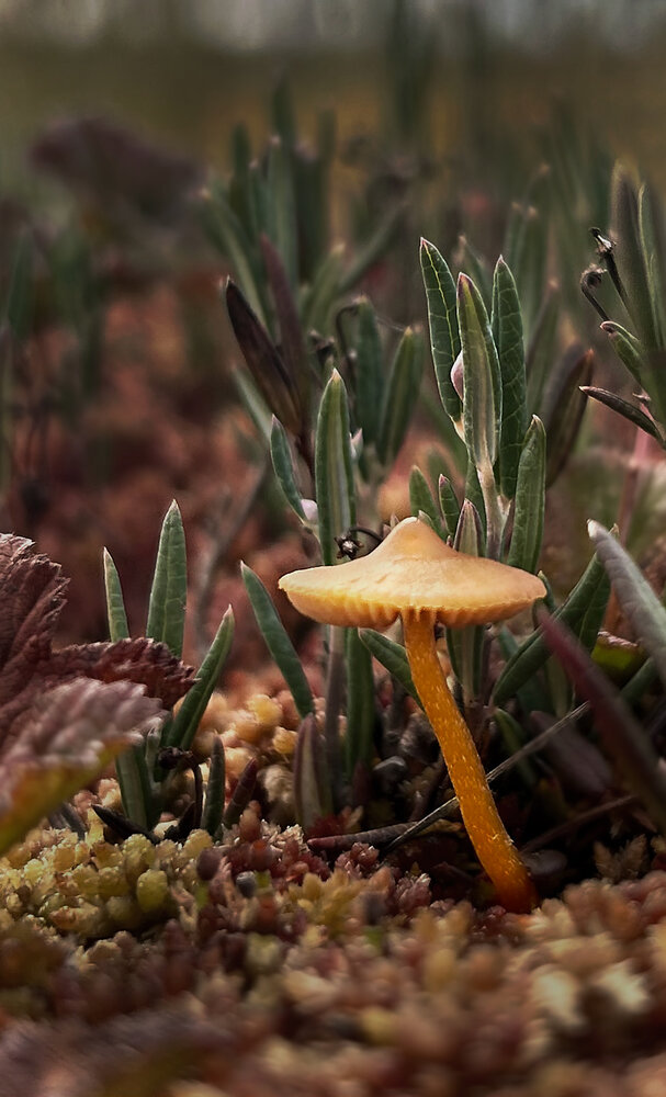 Photograph by Jenne Fedorova