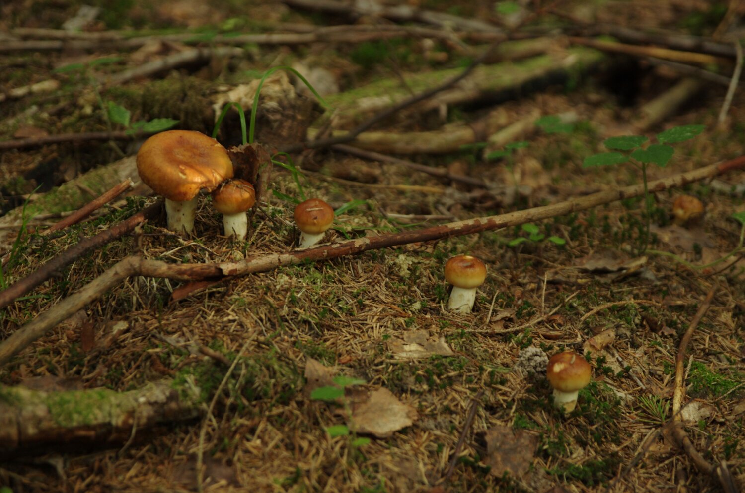 Photo #13956026