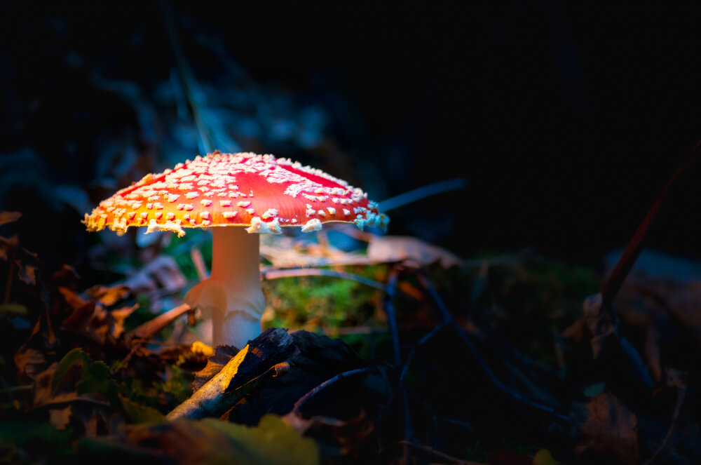 Photograph by Даниил Богомолов