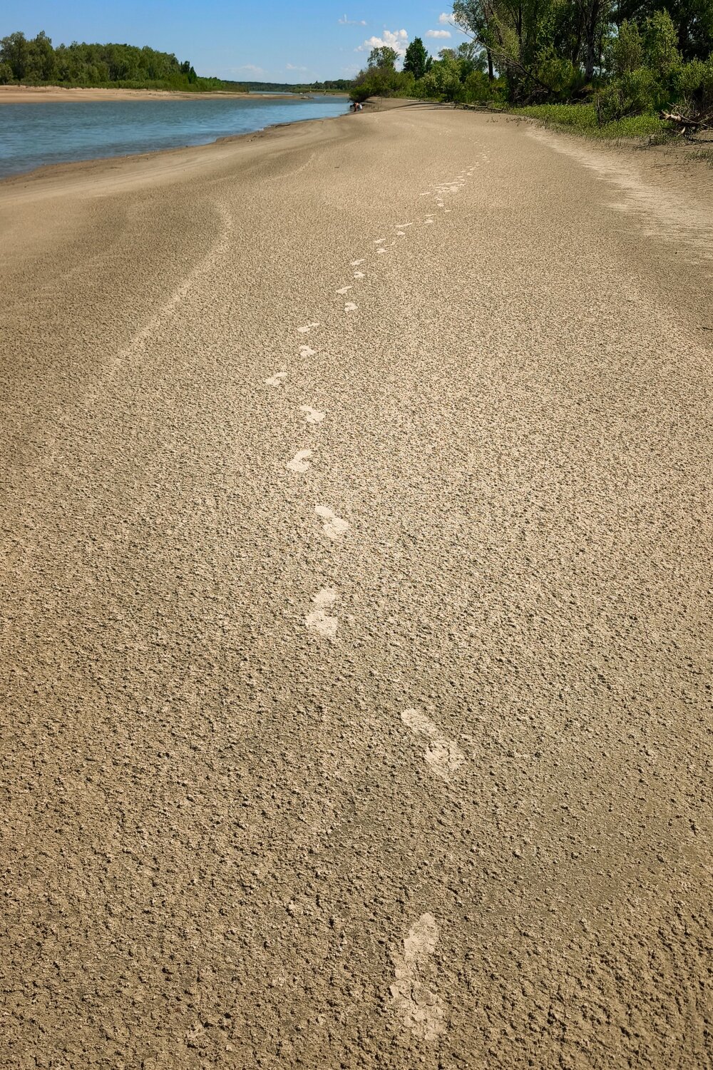 Photo #13956070