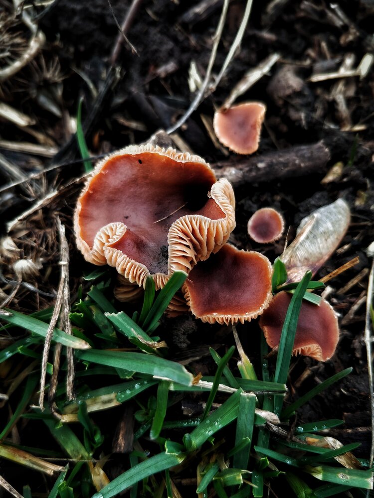 Photograph by Маннанова Ляйсан