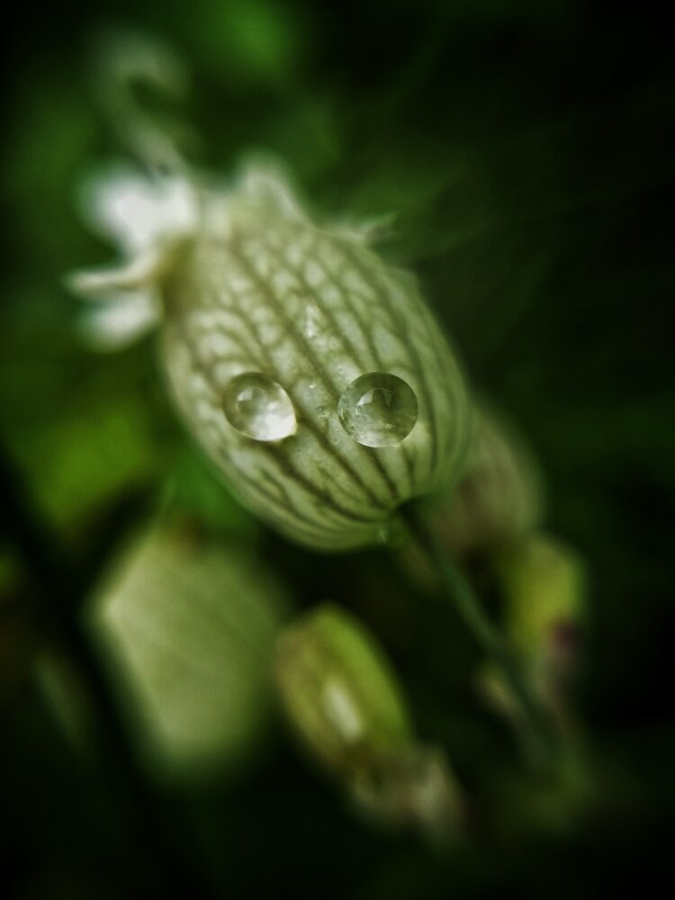 Photograph by Маннанова Ляйсан