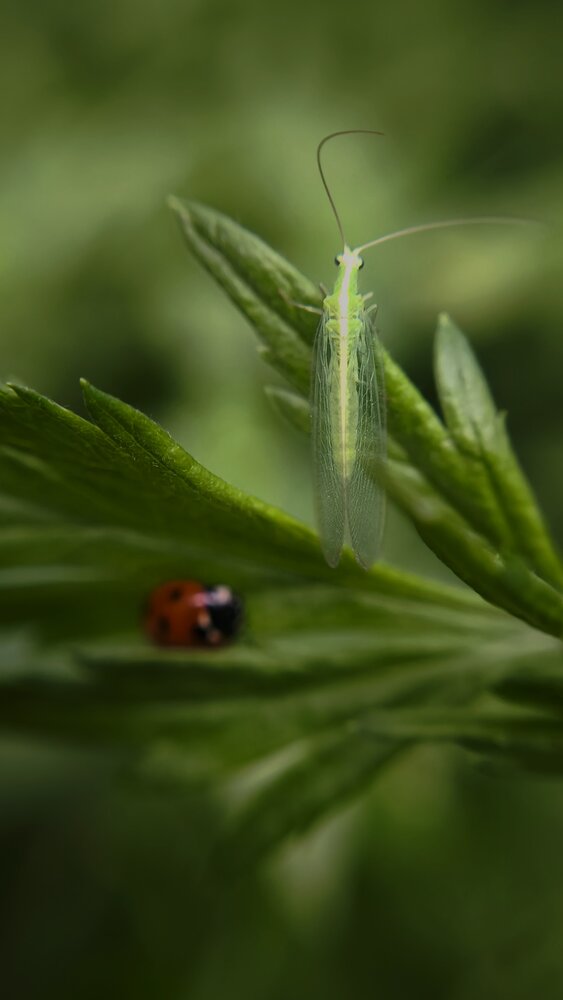 Photograph by Eugenia Blinova
