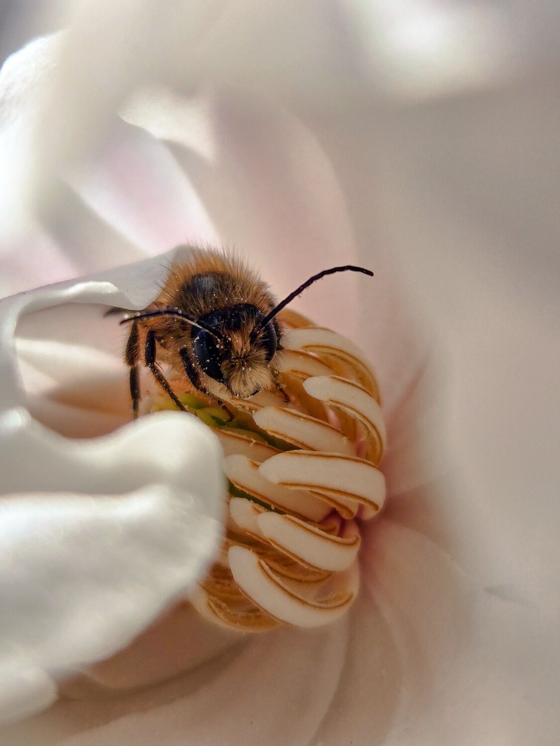 Photo #13956302