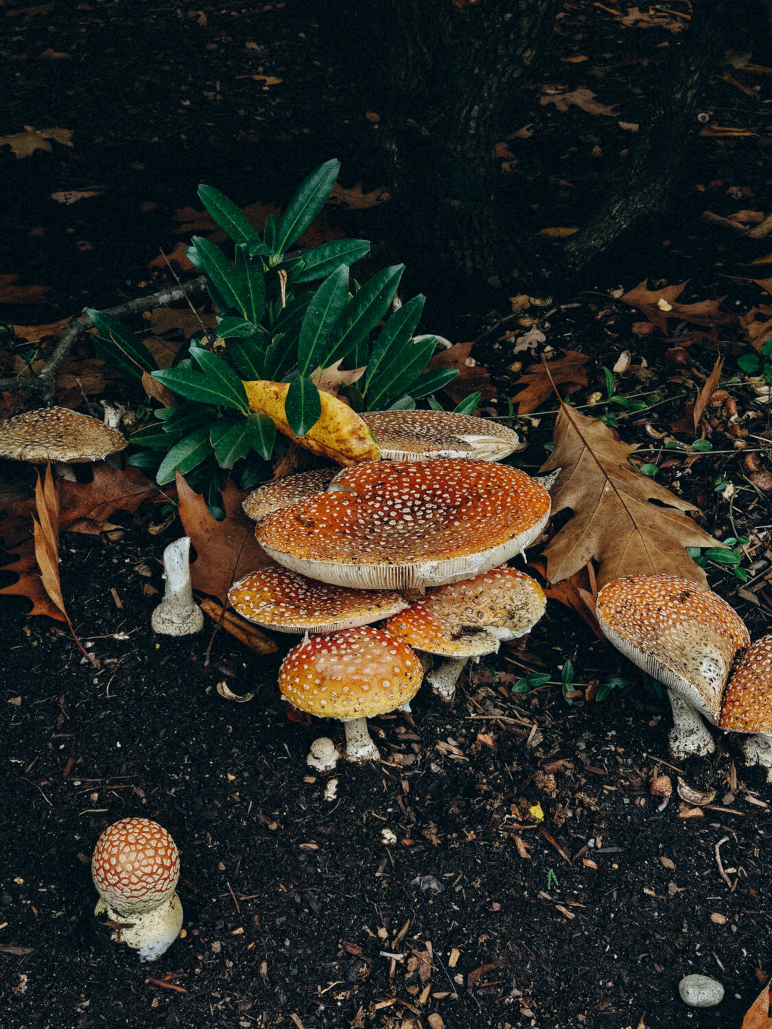 Photo #13956369