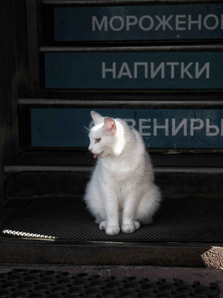 Photograph by Павел Стаценко