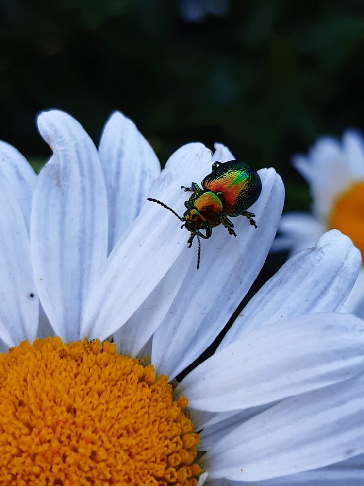 Photograph by Алёна Артемьева