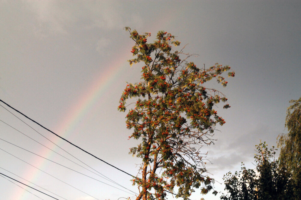 Photograph by Кирилл Елесин