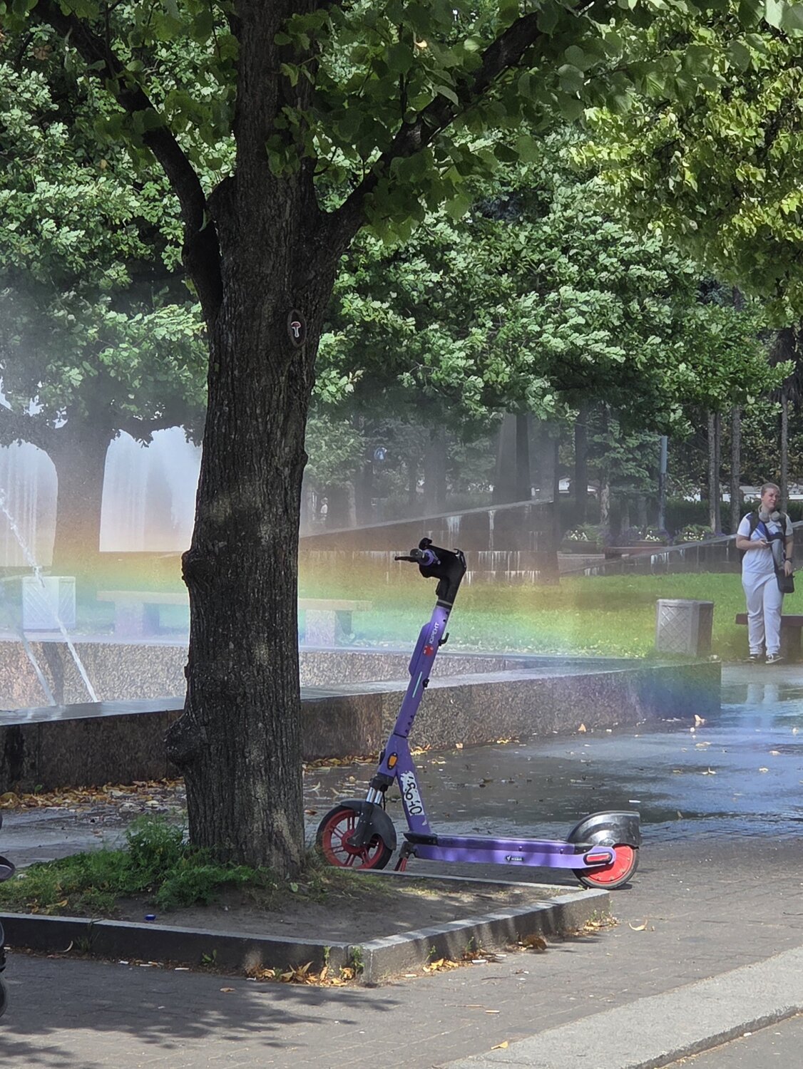 Photo #13956608