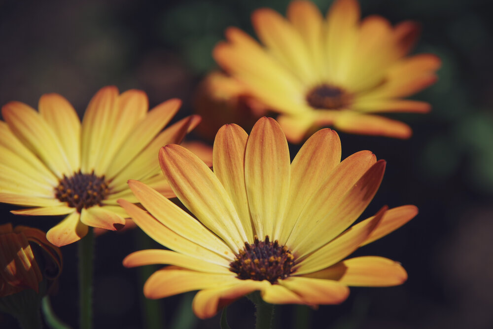 Photograph by Елена Щитова