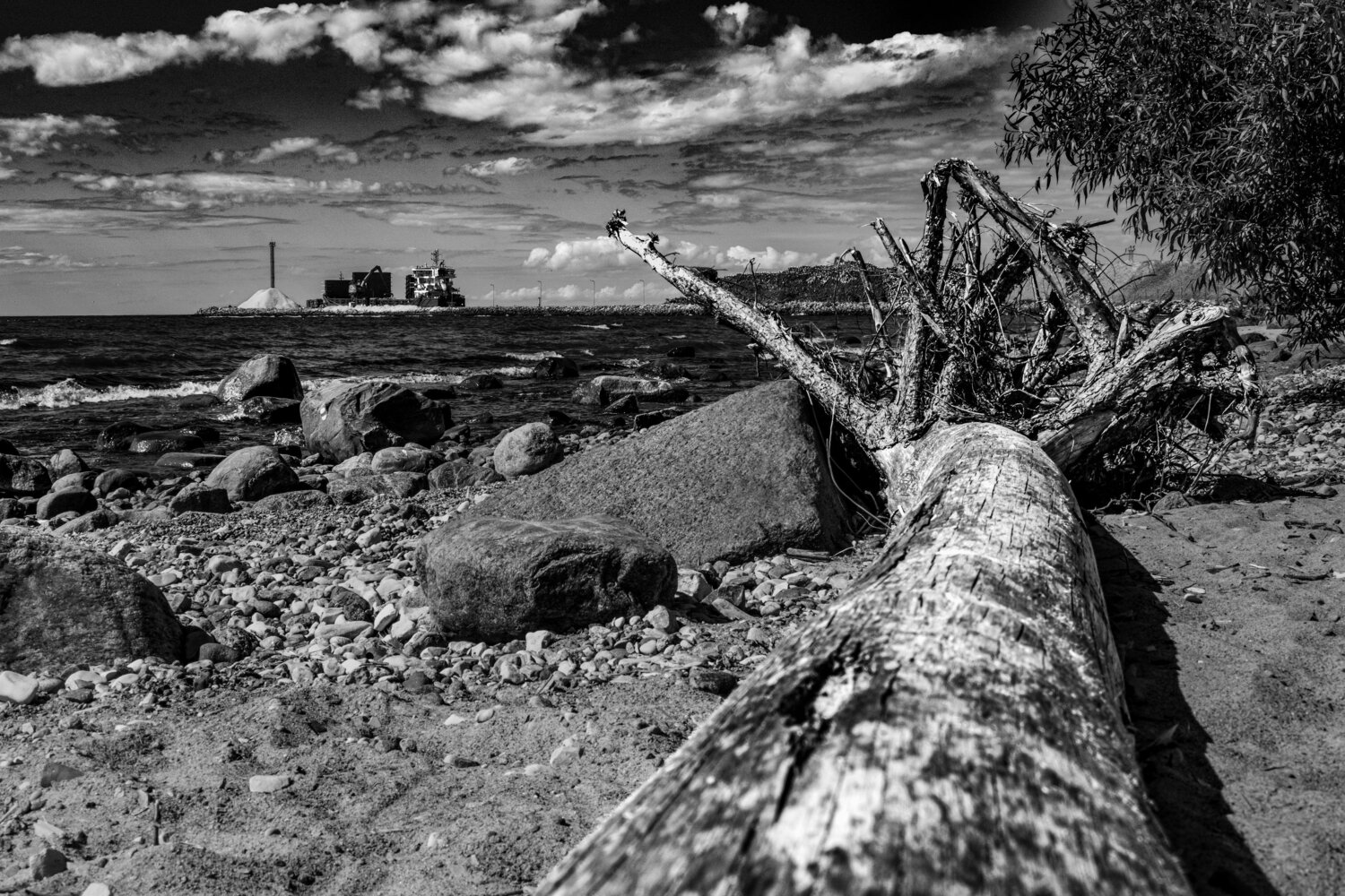 Shadows of the Tide